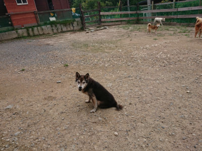 f:id:roukenhome-ann:20190822071555j:plain