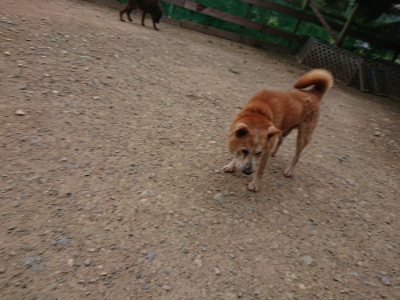 f:id:roukenhome-ann:20190822071559j:plain