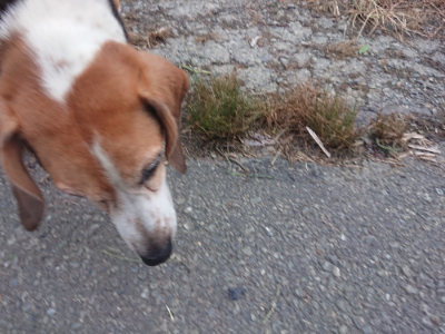 f:id:roukenhome-ann:20190822071636j:plain