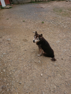f:id:roukenhome-ann:20190822071657j:plain
