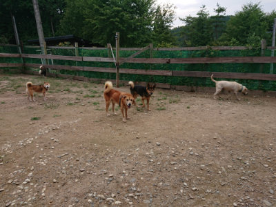 f:id:roukenhome-ann:20190822071713j:plain
