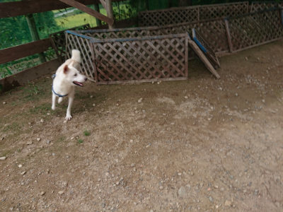 f:id:roukenhome-ann:20190822071723j:plain