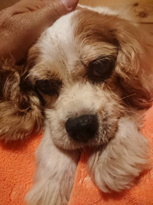 f:id:roukenhome-ann:20190822102905j:plain