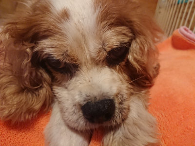 f:id:roukenhome-ann:20190822105953j:plain