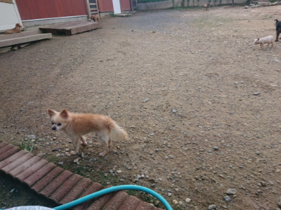 f:id:roukenhome-ann:20190822120055j:plain