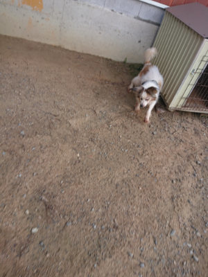 f:id:roukenhome-ann:20190822120151j:plain