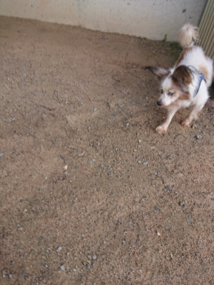 f:id:roukenhome-ann:20190822120156j:plain