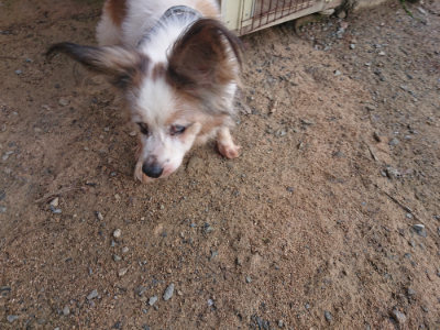f:id:roukenhome-ann:20190822120225j:plain