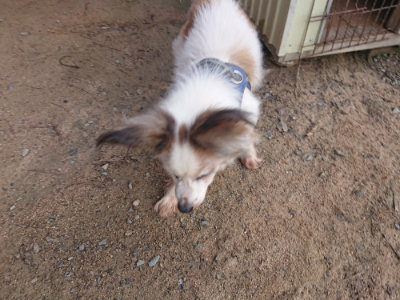 f:id:roukenhome-ann:20190822120232j:plain