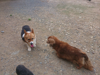 f:id:roukenhome-ann:20190822120245j:plain