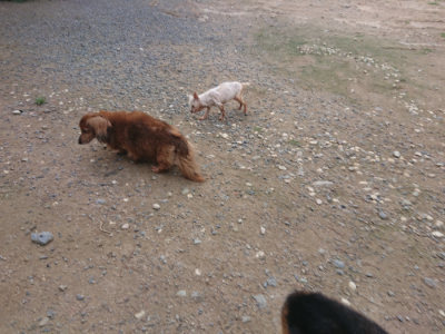 f:id:roukenhome-ann:20190822120405j:plain