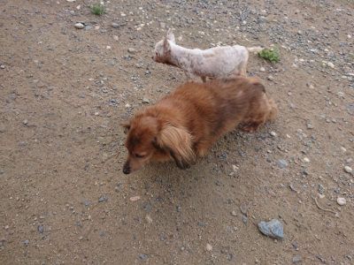 f:id:roukenhome-ann:20190822120411j:plain