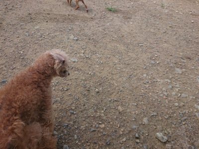 f:id:roukenhome-ann:20190822120448j:plain