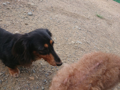 f:id:roukenhome-ann:20190822120501j:plain