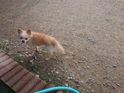 f:id:roukenhome-ann:20190822120515j:plain
