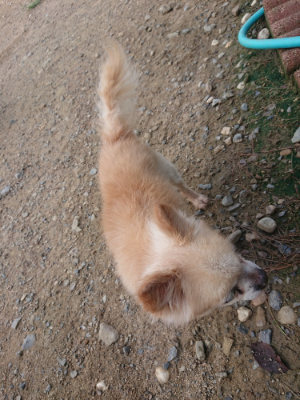 f:id:roukenhome-ann:20190822120555j:plain