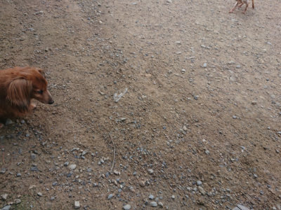 f:id:roukenhome-ann:20190822120601j:plain