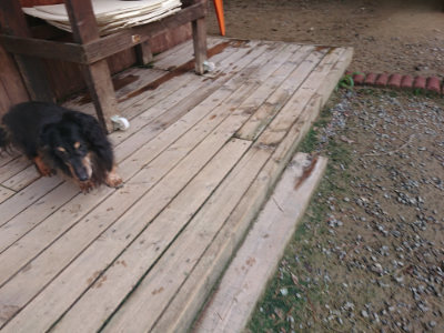 f:id:roukenhome-ann:20190822120608j:plain