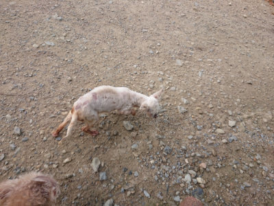 f:id:roukenhome-ann:20190822120635j:plain