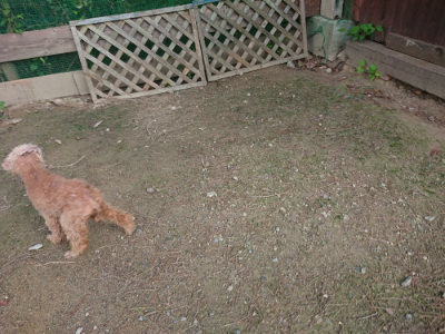 f:id:roukenhome-ann:20190822120642j:plain