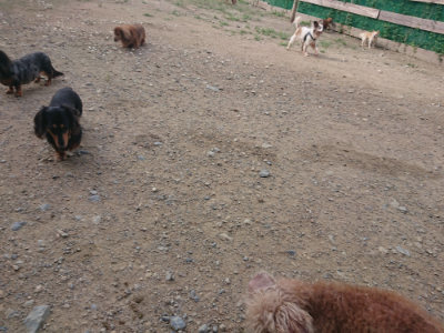 f:id:roukenhome-ann:20190822120739j:plain