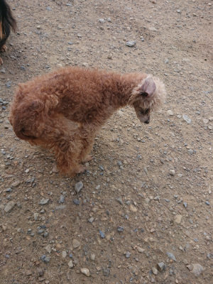 f:id:roukenhome-ann:20190822120751j:plain