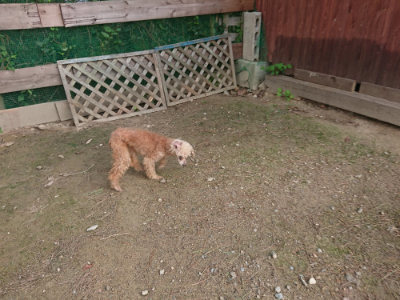 f:id:roukenhome-ann:20190822140136j:plain