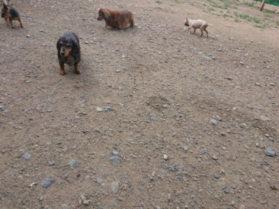 f:id:roukenhome-ann:20190822140152j:plain