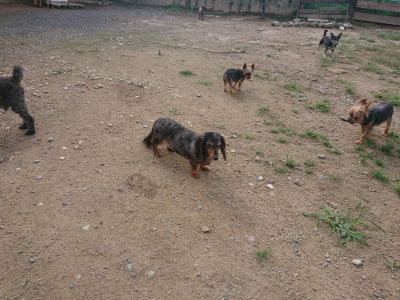 f:id:roukenhome-ann:20190822140223j:plain