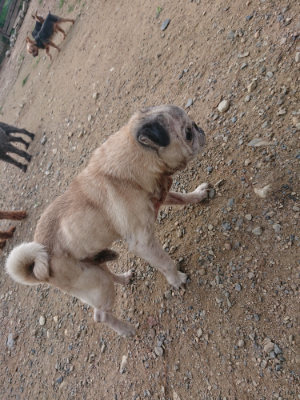 f:id:roukenhome-ann:20190822140248j:plain