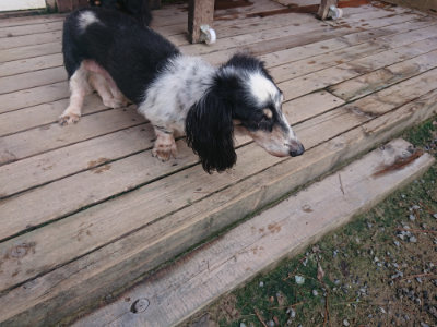 f:id:roukenhome-ann:20190822140321j:plain