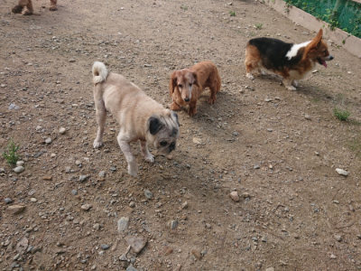 f:id:roukenhome-ann:20190822140344j:plain
