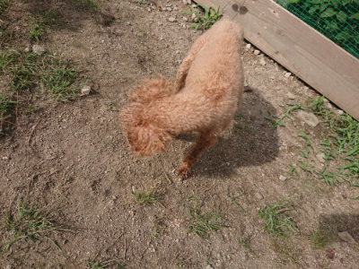 f:id:roukenhome-ann:20190822141222j:plain