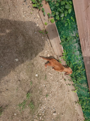 f:id:roukenhome-ann:20190822141228j:plain