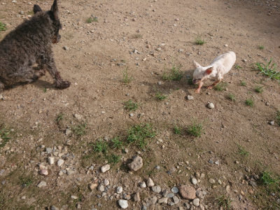 f:id:roukenhome-ann:20190822141233j:plain