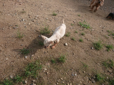 f:id:roukenhome-ann:20190822141253j:plain