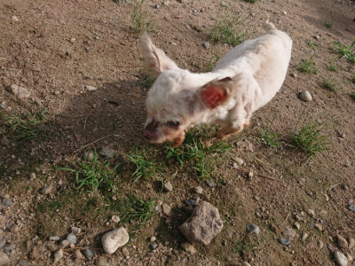 f:id:roukenhome-ann:20190822141300j:plain