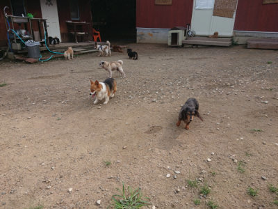 f:id:roukenhome-ann:20190822141302j:plain