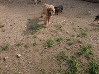 f:id:roukenhome-ann:20190822141304j:plain