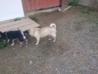 f:id:roukenhome-ann:20190822141433j:plain