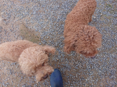 f:id:roukenhome-ann:20190822141508j:plain