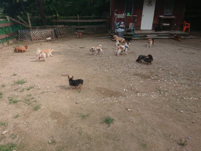 f:id:roukenhome-ann:20190822141520j:plain