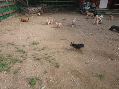 f:id:roukenhome-ann:20190822141530j:plain