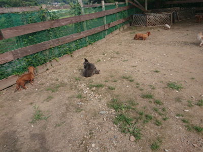 f:id:roukenhome-ann:20190822141536j:plain