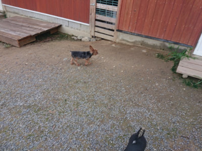f:id:roukenhome-ann:20190822141542j:plain