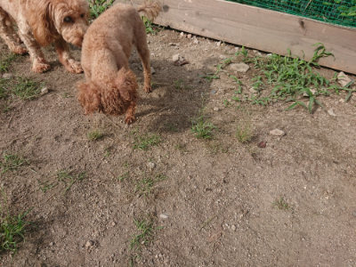 f:id:roukenhome-ann:20190822141802j:plain