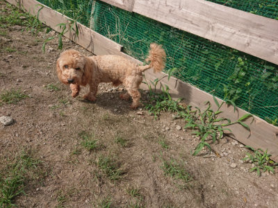 f:id:roukenhome-ann:20190822141812j:plain