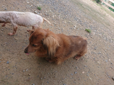 f:id:roukenhome-ann:20190822141823j:plain