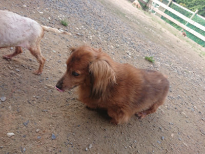 f:id:roukenhome-ann:20190822142041j:plain