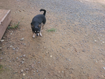 f:id:roukenhome-ann:20190822142058j:plain